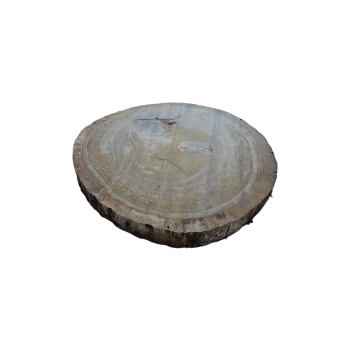 Plaster Dębowy 56x54x6cm Dąb