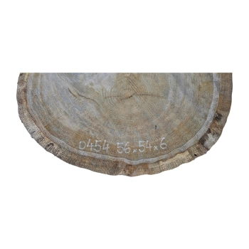 Plaster Dębowy 56x54x6cm Dąb