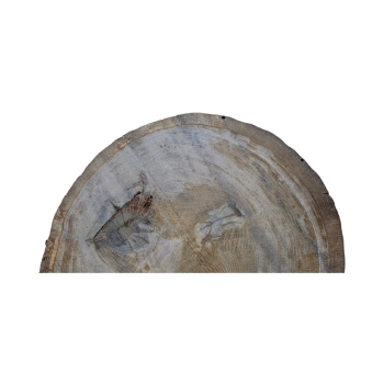 Plaster Dębowy 56x54x6cm Dąb