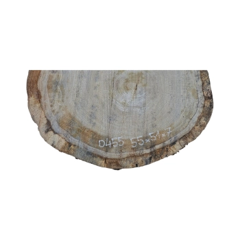 Plaster Dębowy 55x51x7cm Dąb
