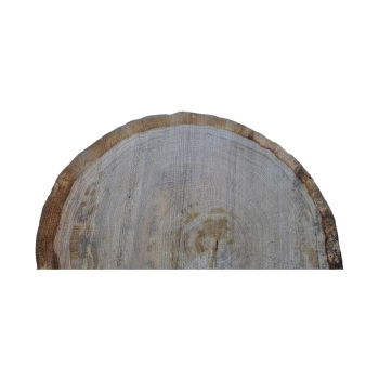 Plaster Dębowy 55x51x7cm Dąb