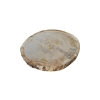 Plaster Dębowy 58x49x7cm Dąb
