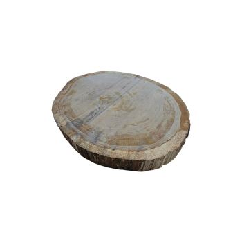 Plaster Dębowy 58x49x7cm Dąb