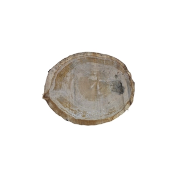 Plaster Dębowy 60x50x6cm Dąb