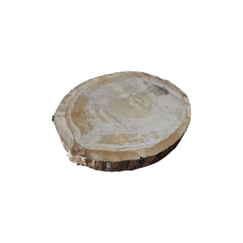 Plaster Dębowy 60x50x6cm Dąb