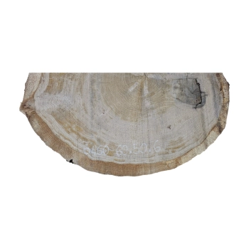 Plaster Dębowy 60x50x6cm Dąb