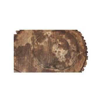 Plaster Orzecha Włoskiego 47x36x4cm