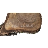 Plaster Orzecha Włoskiego 41x38x5cm