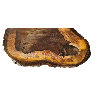 Plaster Orzecha Włoskiego 51x43x6cm