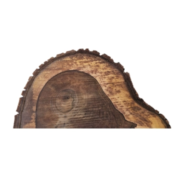 Plaster Orzecha Włoskiego 51x43x6cm