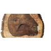 Plaster Orzecha Włoskiego 43x43x6cm