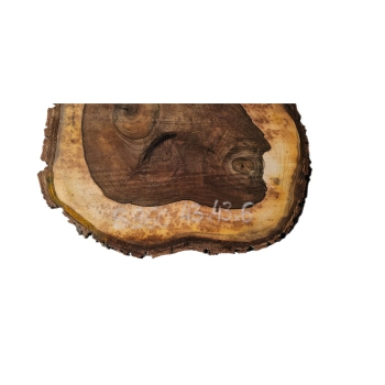 Plaster Orzecha Włoskiego 43x43x6cm