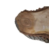 Plaster Orzecha Włoskiego 57x42x6cm