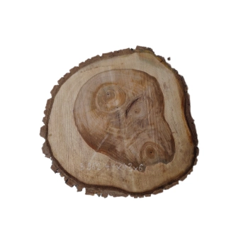 Plaster Orzecha Włoskiego 44x43x6cm