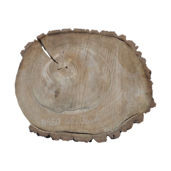 Plaster Orzecha Włoskiego 46x36x4cm