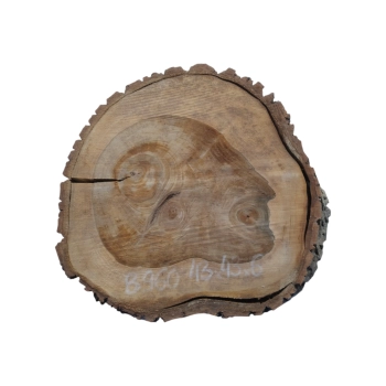 Plaster Orzecha Włoskiego 43x43x6cm
