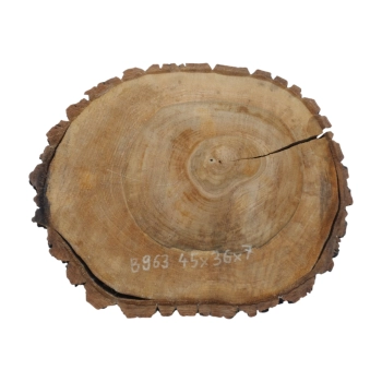 Plaster Orzecha Włoskiego 45x36x7cm