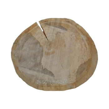 Plaster Dębowy 59x53x7cm Dąb