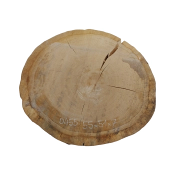 Plaster Dębowy 55x51x7cm Dąb