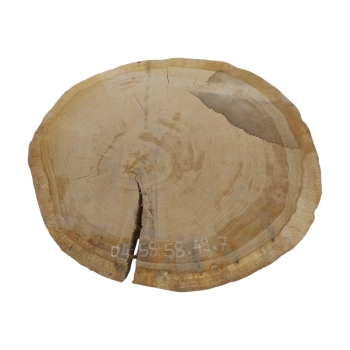 Plaster Dębowy 58x49x7cm Dąb