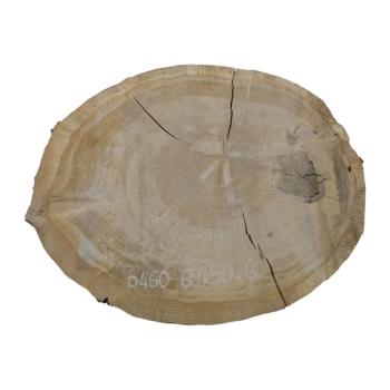 Plaster Dębowy 60x50x6cm Dąb