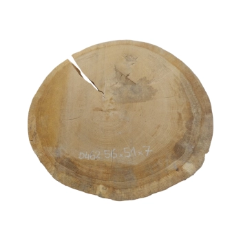 Plaster Dębowy 56x51x7cm Dąb