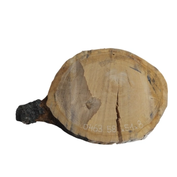 Plaster Dębowy 58x51x8cm Dąb