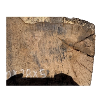 Plaster Dębowy 40x28x5cm Dąb