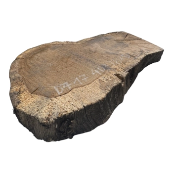 Plaster Dębowy 40x28x5cm Dąb