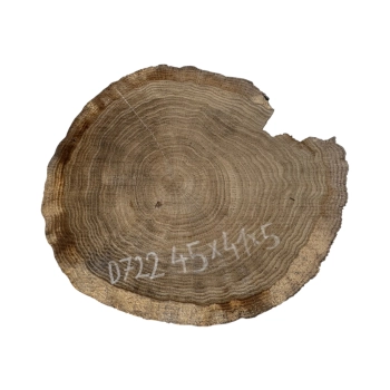 Plaster Dębowy 45x41x5cm Dąb