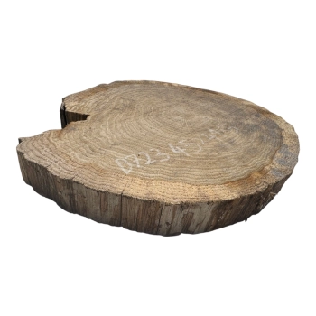 Plaster Dębowy 45x41x5cm Dąb
