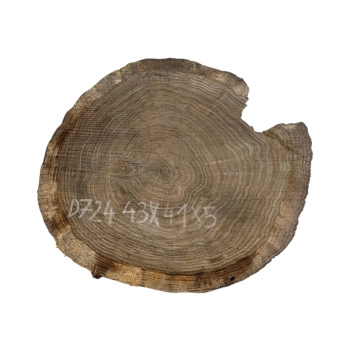 Plaster Dębowy 43x41x5cm Dąb