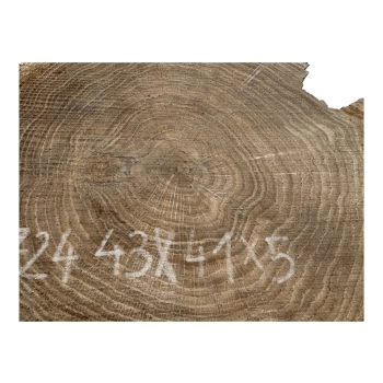 Plaster Dębowy 43x41x5cm Dąb
