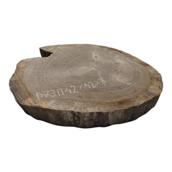 Plaster Dębowy 42x42x5cm Dąb