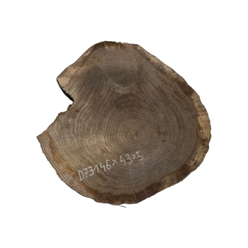 Plaster Dębowy 46x43x5cm Dąb