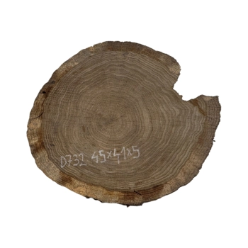 Plaster Dębowy 45x41x5cm Dąb