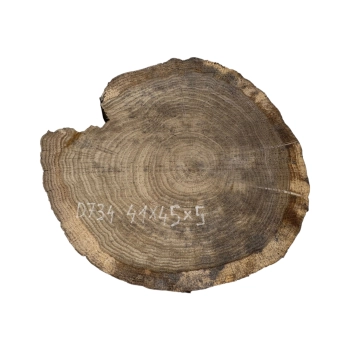 Plaster Dębowy 41x45x5cm Dąb