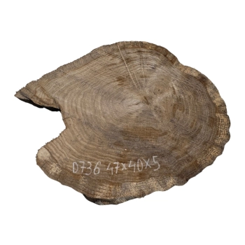 Plaster Dębowy 47x40x5cm Dąb