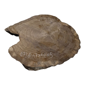 Plaster Dębowy 47x40x5cm Dąb