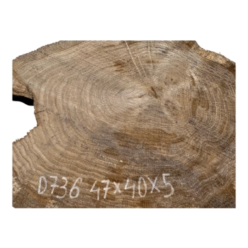 Plaster Dębowy 47x40x5cm Dąb