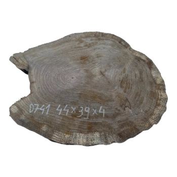 Plaster Dębowy 44x39x4cm Dąb