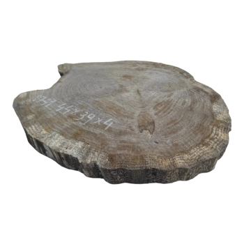 Plaster Dębowy 44x39x4cm Dąb