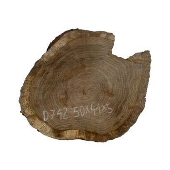 Plaster Dębowy 50x41x5cm Dąb