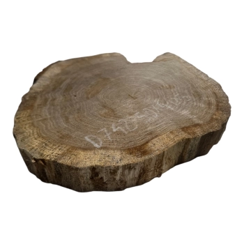 Plaster Dębowy 50x41x5cm Dąb