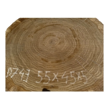 Plaster Dębowy 55x45x5cm Dąb