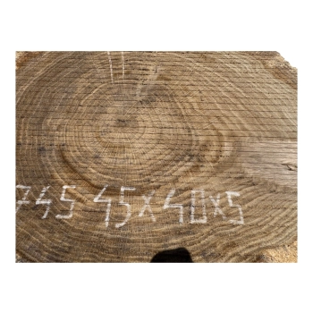 Plaster Dębowy 45x40x5cm Dąb