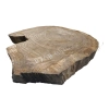 Plaster Dębowy 45x41x5cm Dąb