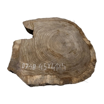 Plaster Dębowy 45x41x5cm Dąb