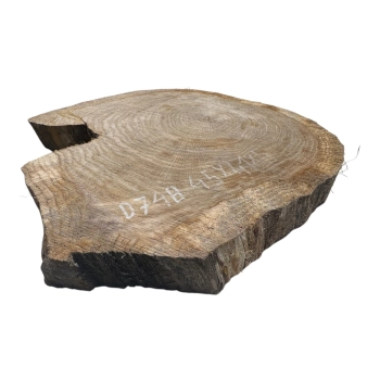Plaster Dębowy 45x41x5cm Dąb