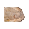 Plaster Orzecha Włoskiego 51x37x6,5cm